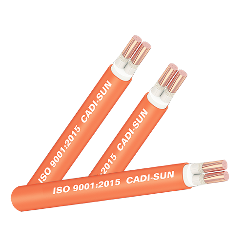 Cáp chống cháy 2 lõi FRN/CXV-Cu/XLPE/Fr-PVC Cadisun