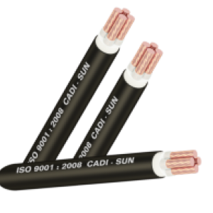  CÁP ĐỒNG 4 LÕI BỌC CÁCH ĐIỆN Cu/XLPE/PVC-CXV4x Cadisun